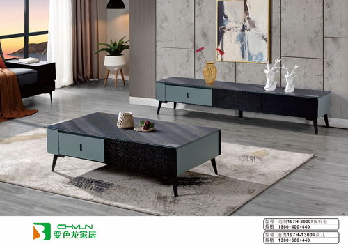 變色龍家居二十六載以初心致匠心 以不變應萬變